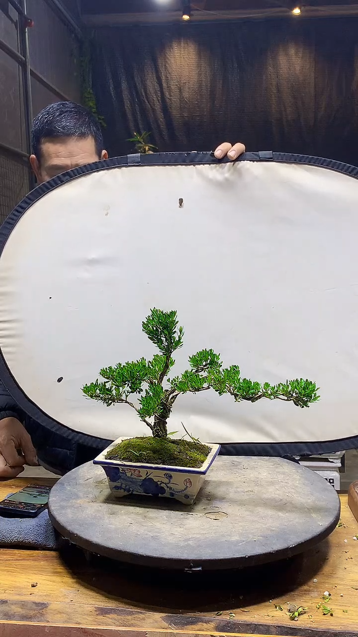 完全开放@*光111111111111