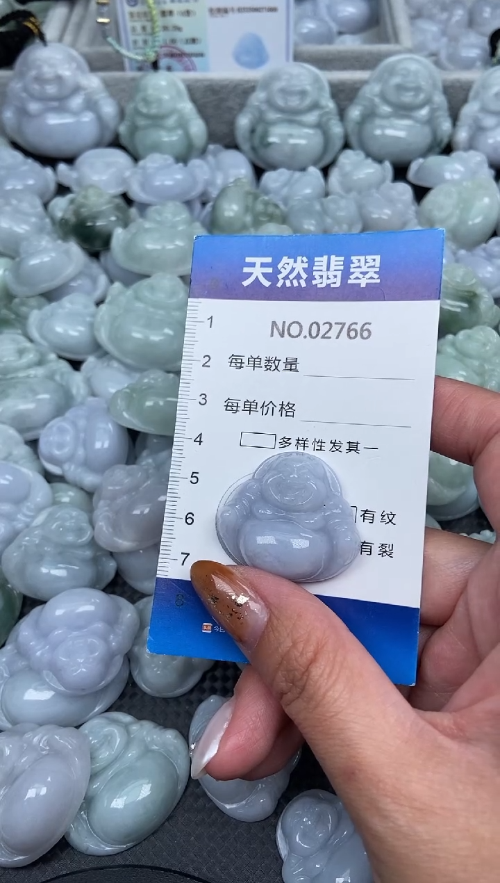 颈饰未镶嵌翡翠纯天然A货翡翠2766