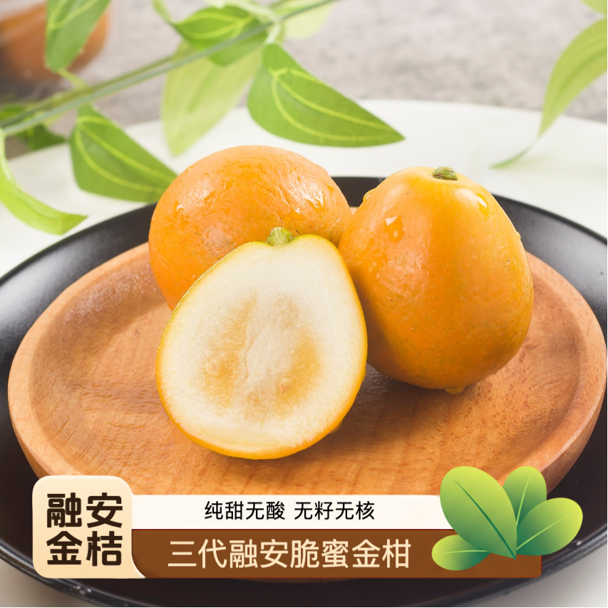 【顺丰快递】广西正宗脆蜜金柑三代融安脆蜜金桔现摘水果 纯甜无酸