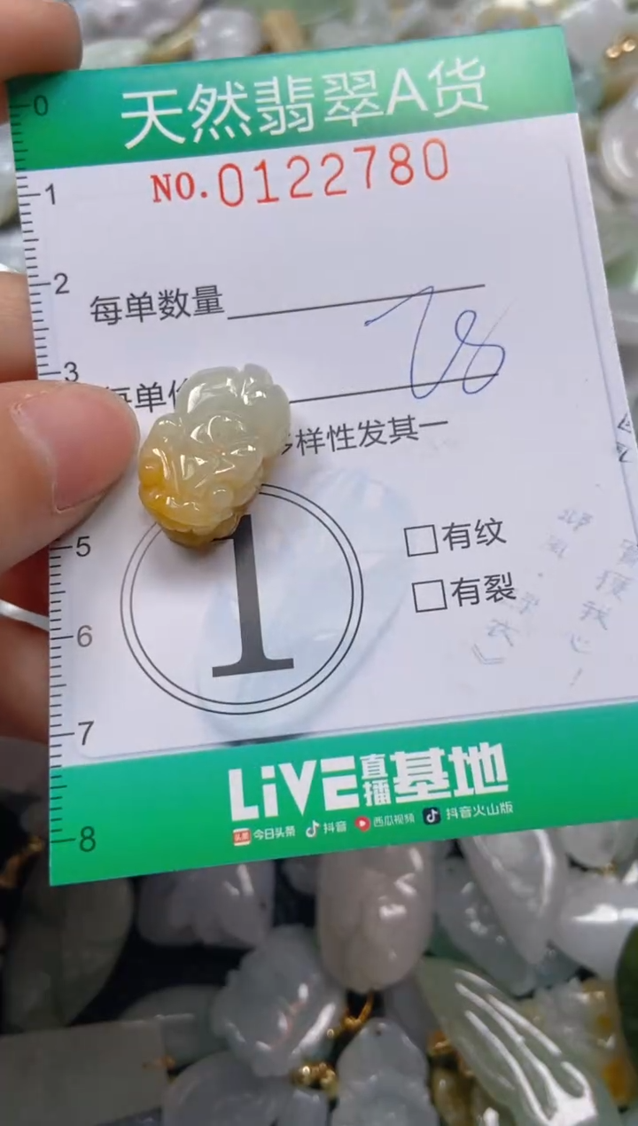 翡翠未镶嵌颈饰闪购0122780