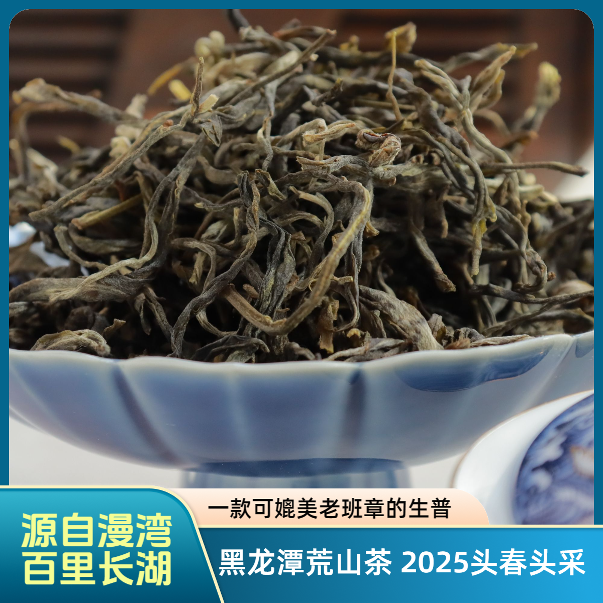 漫湾-黑龙潭荒山茶散料-2025年头春头采