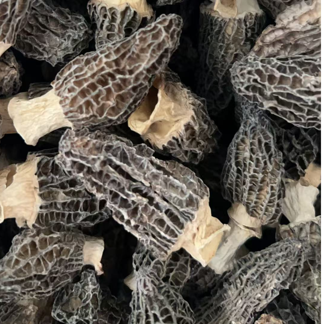 528358羊肚菌干菌菇