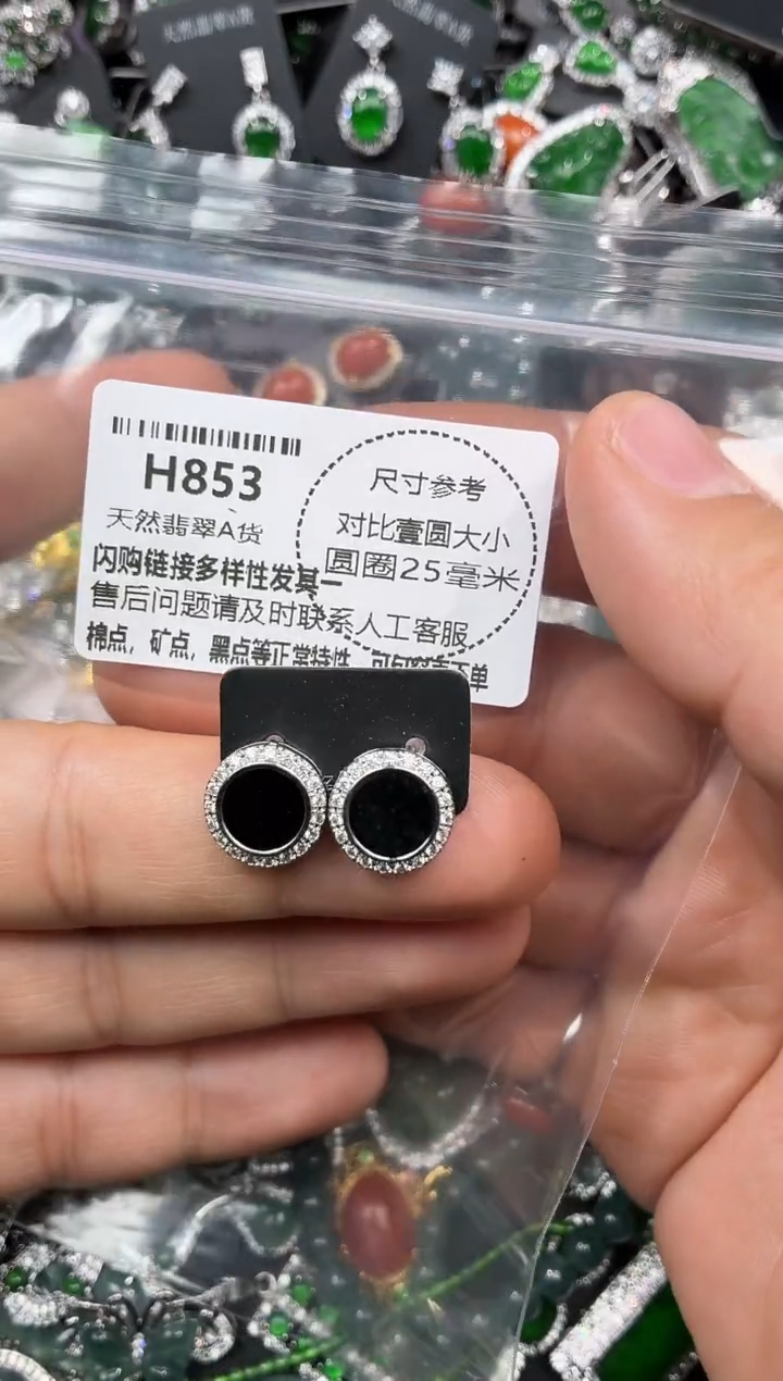 颈饰未镶嵌翡翠H853耳钉