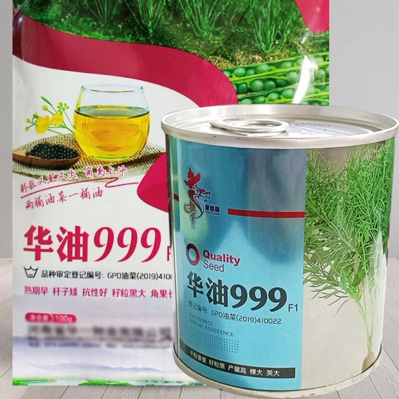 华油999杂交高产油菜籽种孑种子种籽子大全矮杆王菜籽菜种