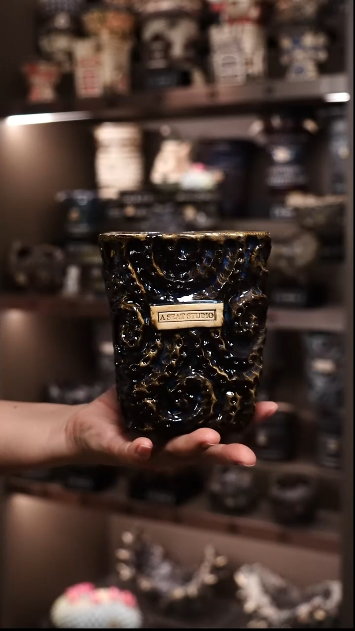 炙**舞泰国进口手工花盆个性创意花盆