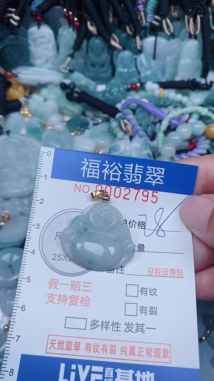 【闪购商品】翡翠颈饰未镶嵌...0002795