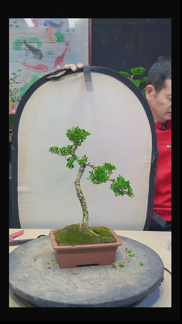 无花朵最****宝1111111111111