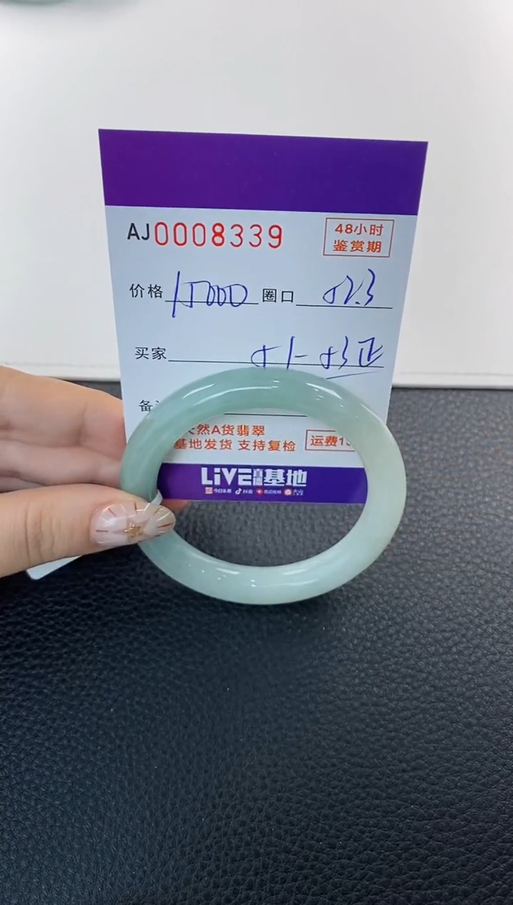 未镶嵌手镯翡翠天然A货翡翠