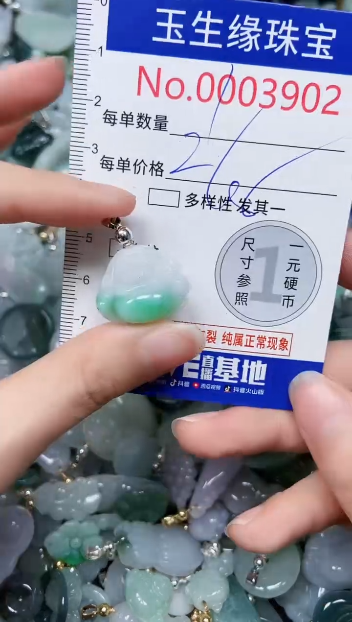 【闪购商品】翡翠颈饰未镶嵌闪购00003902