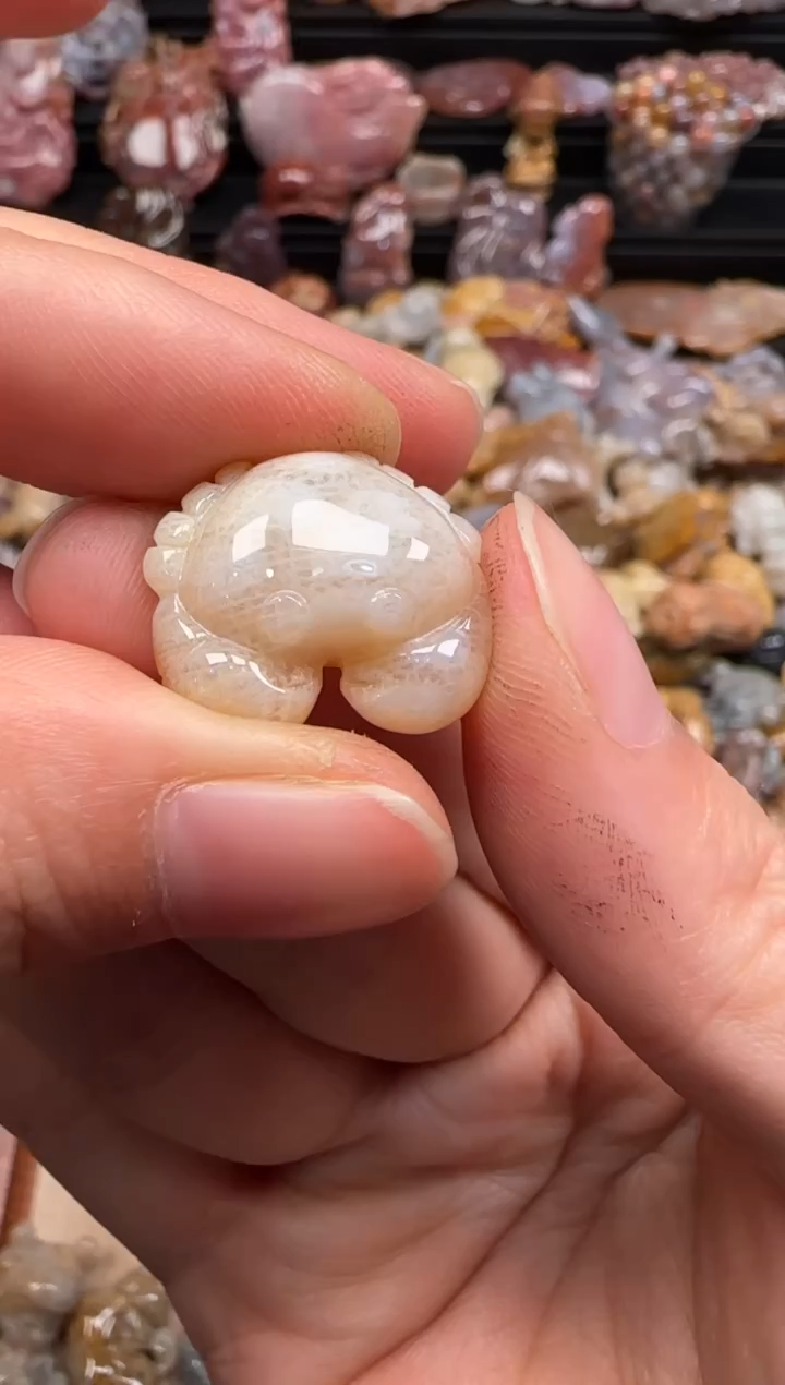 【闪购商品】硅化珊瑚（珊瑚玉）颈饰未镶嵌736