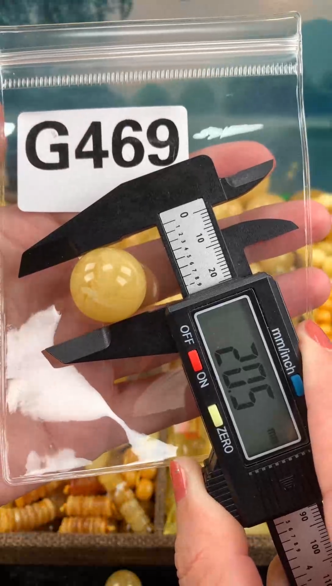 未镶嵌蜜蜡珠宝奇石裸石