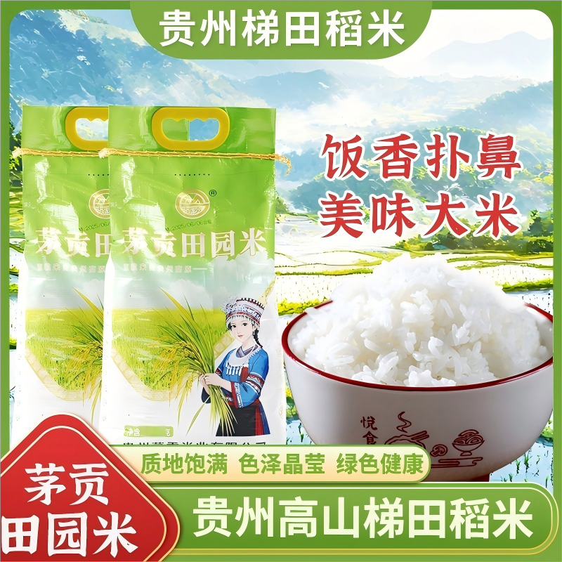 茅贡米贵州高山梯田一年一季优质生态米农家好米米香浓郁长粒米