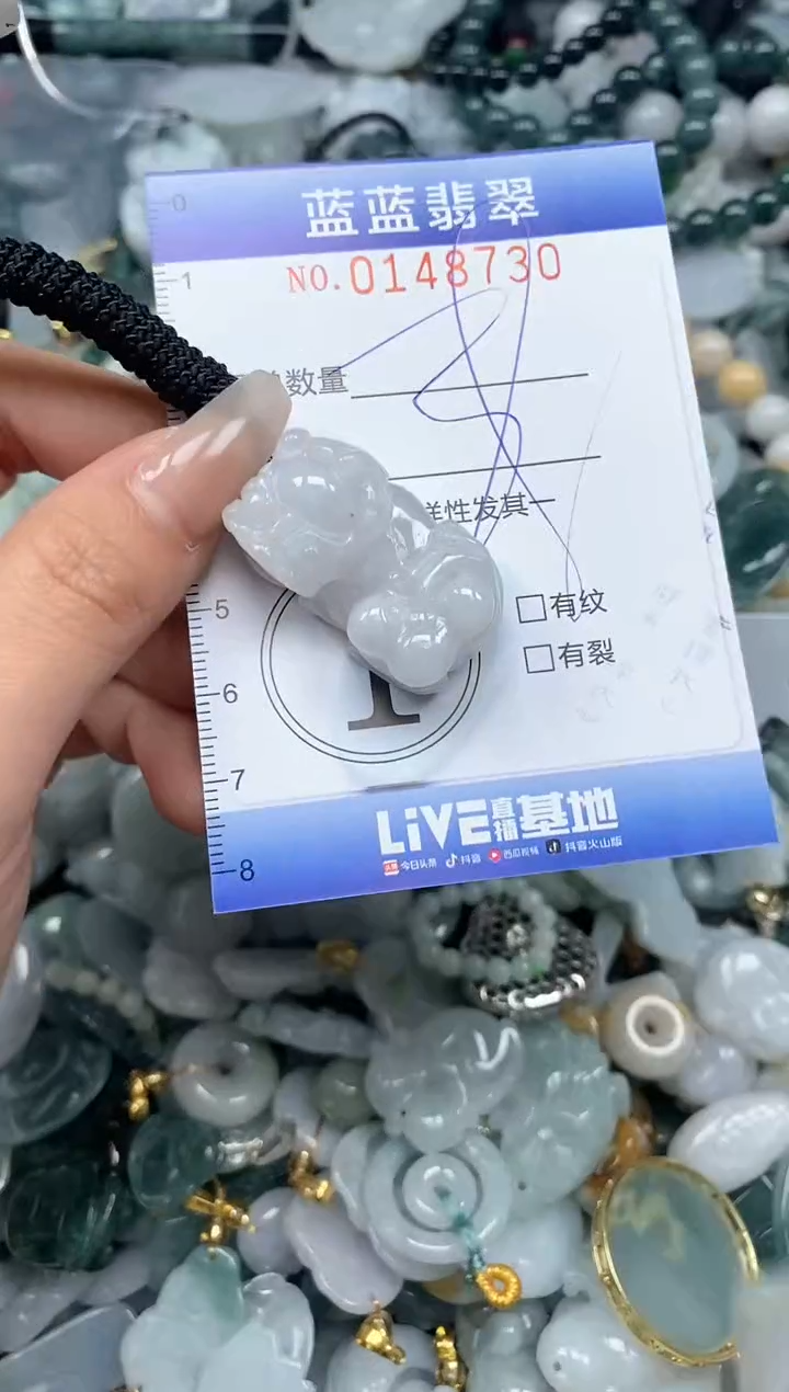 【闪购商品】翡翠颈饰未镶嵌闪购0148730多样性发其一