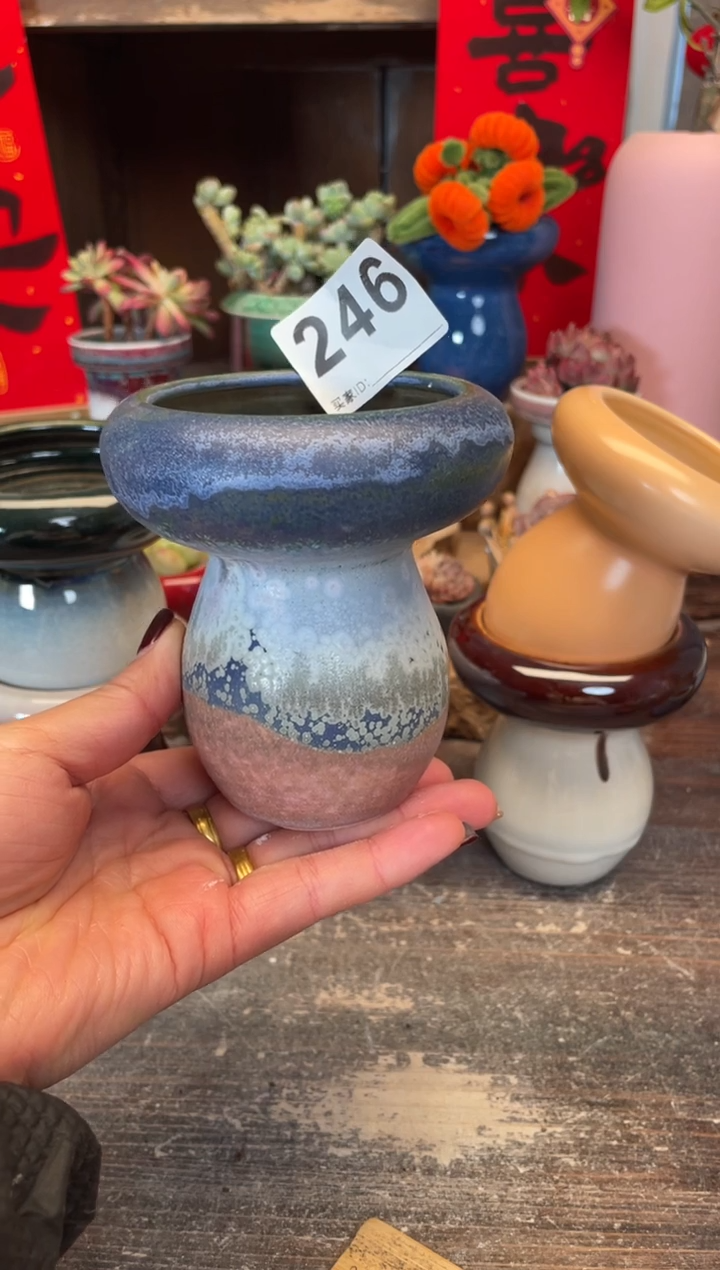 【闪购商品】摆件246微瑕知木小芳花盆