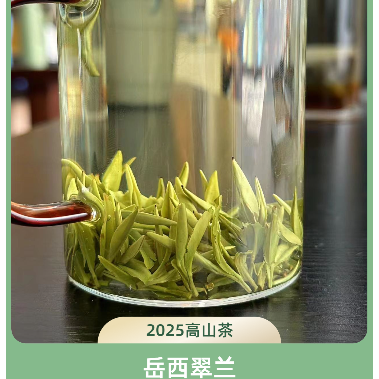 2025年高山茗茶岳西翠兰兰花香型清香淡雅