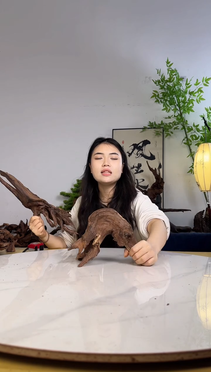 品***味拍沉木定向链接编号59