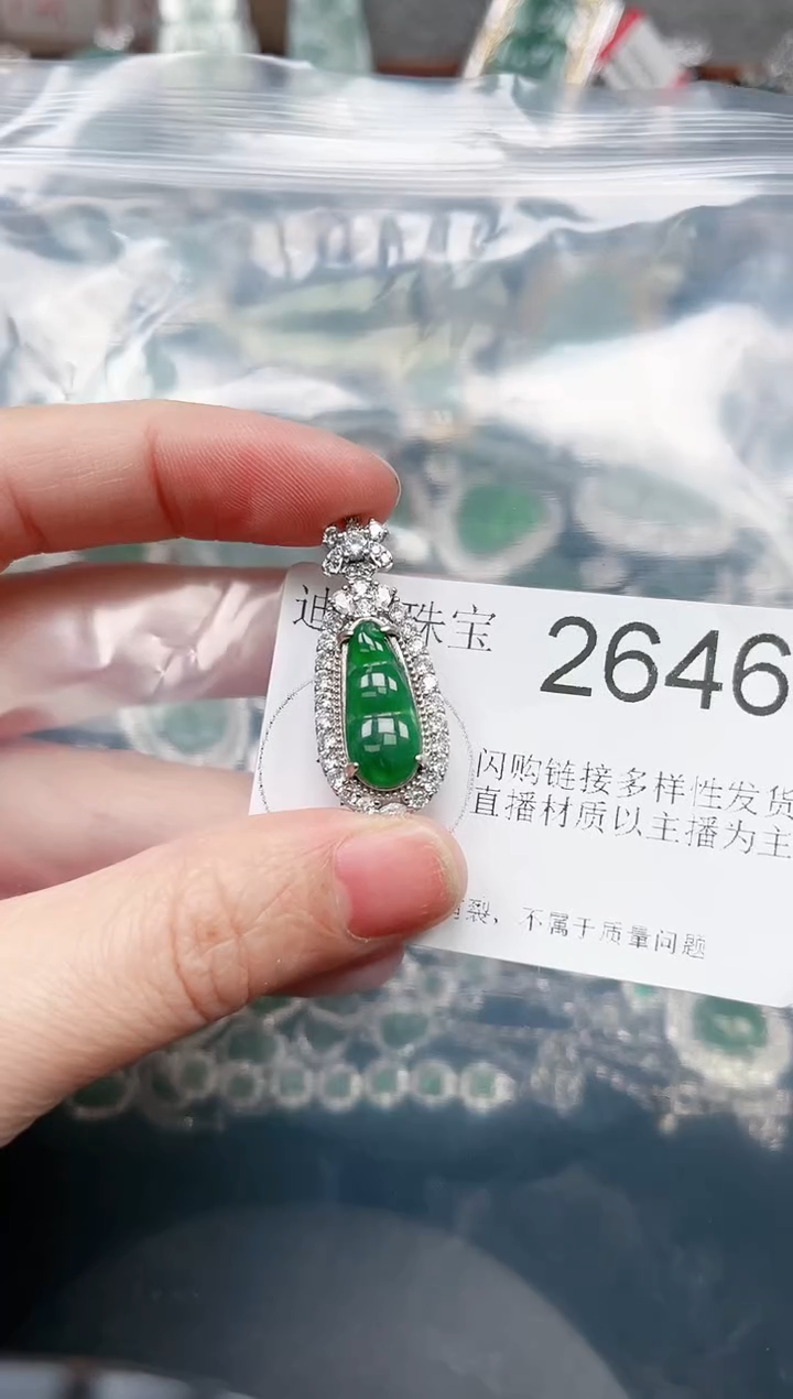 【闪购商品】翡翠颈饰未镶嵌2646赠皮绳