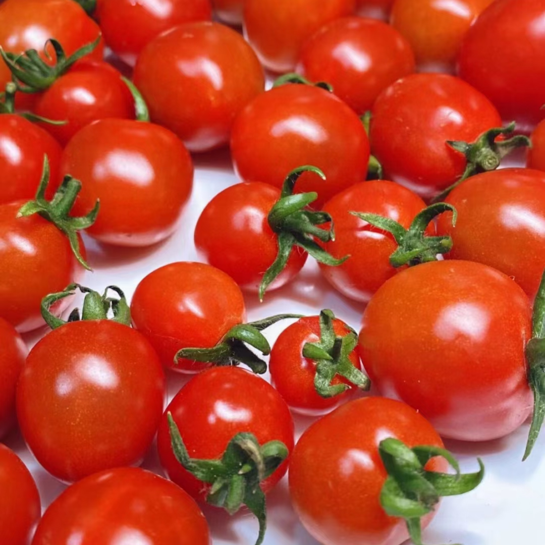 沙漠枸杞千禧小番茄净果2斤礼盒装