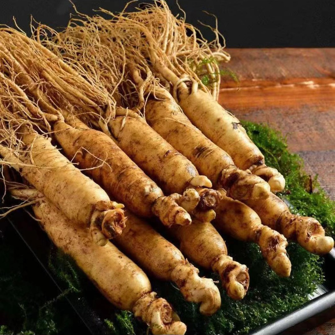 东北长白山鲜人参 240-255g鲜参煲汤泡酒参林下参产地直发