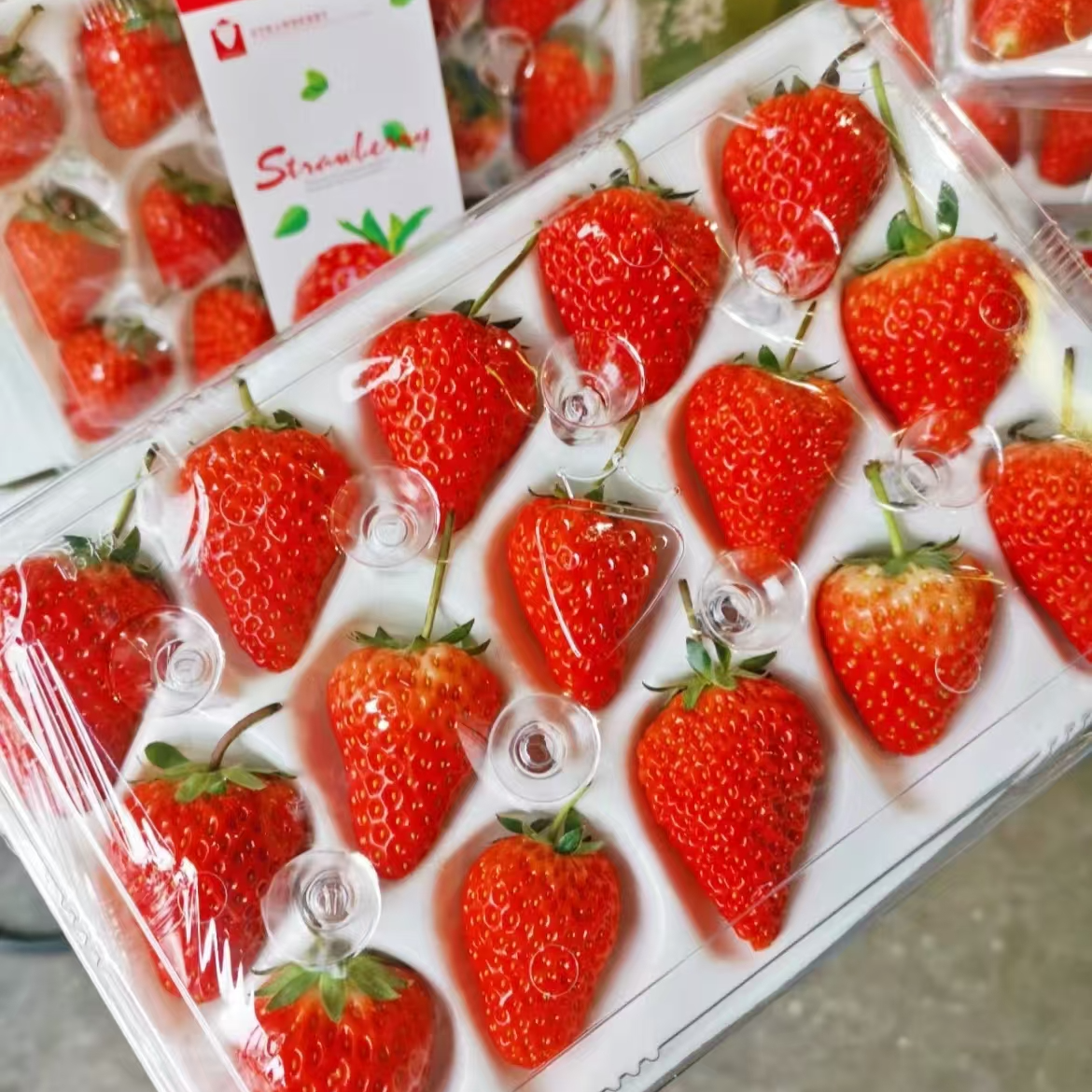 当季水果 丹东九九草莓 水晶盒（19.9元一盒）