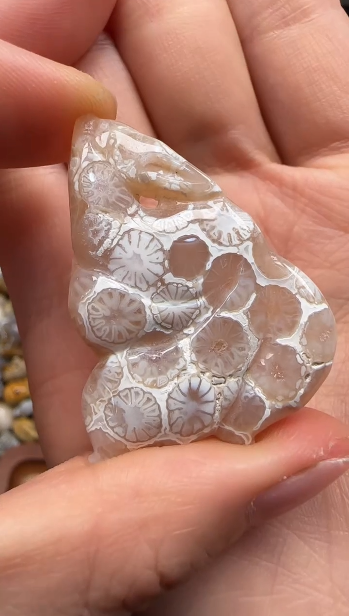 【闪购商品】硅化珊瑚（珊瑚玉）颈饰未镶嵌589