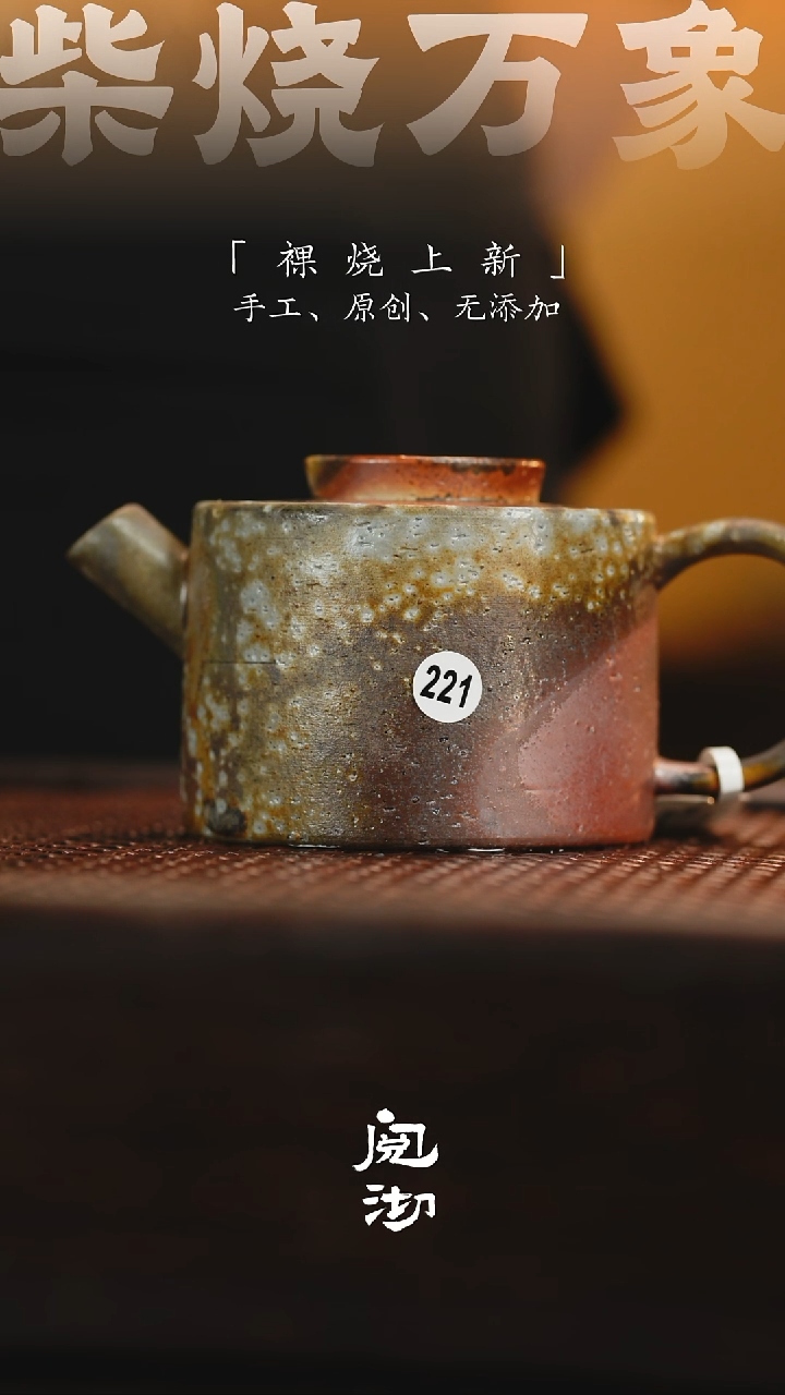 221擎天壶              