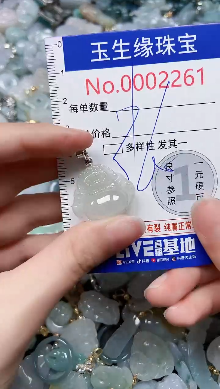 【闪购商品】翡翠颈饰未镶嵌闪购00002261