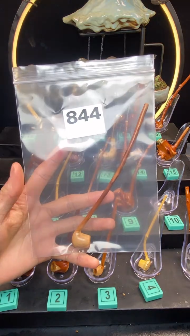 【闪购商品】黑果木檬子木烟斗c