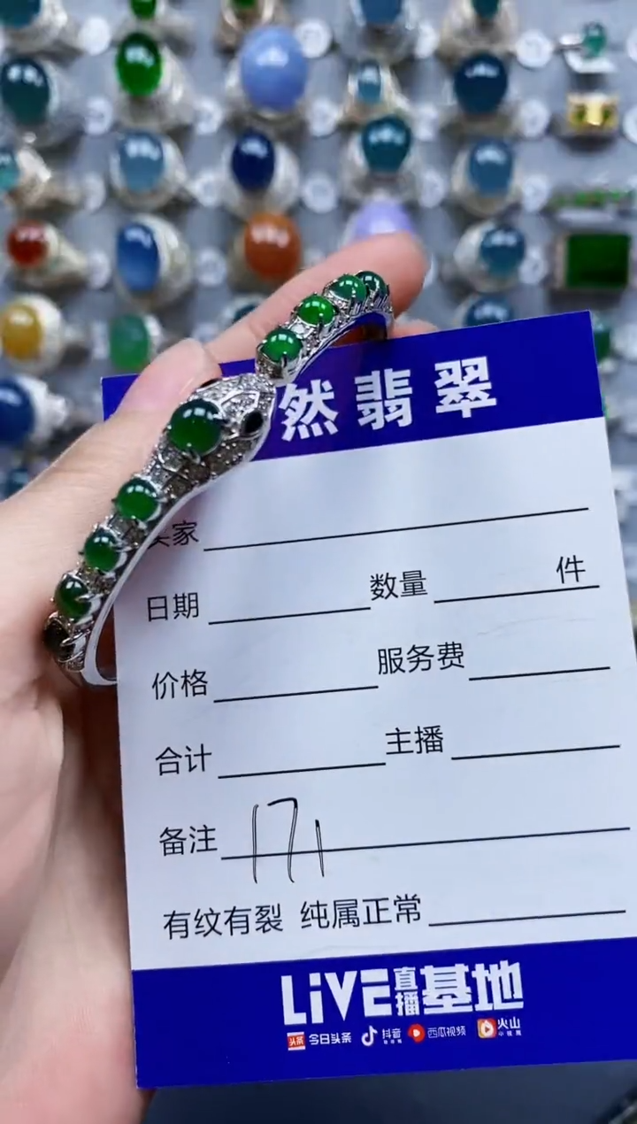 翡翠手镯银S925镶嵌0171
