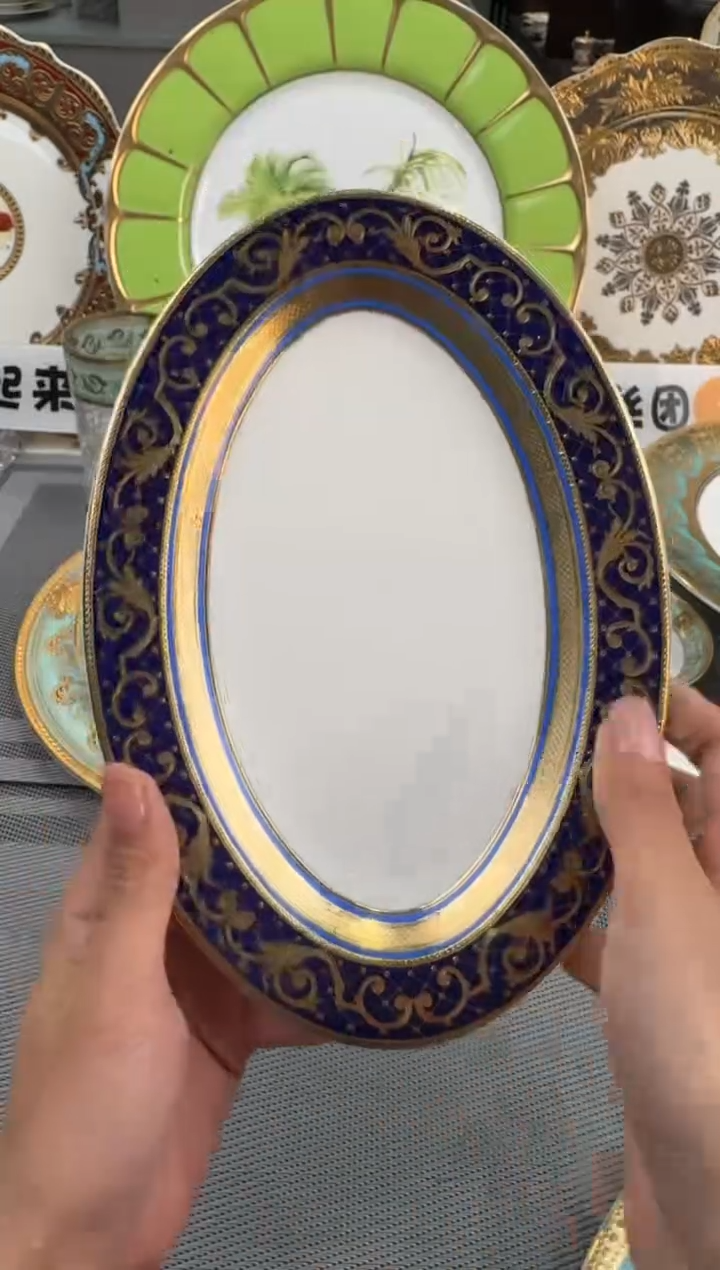 【闪购商品】瓷片9英寸鱼盘 福利款 微瑕