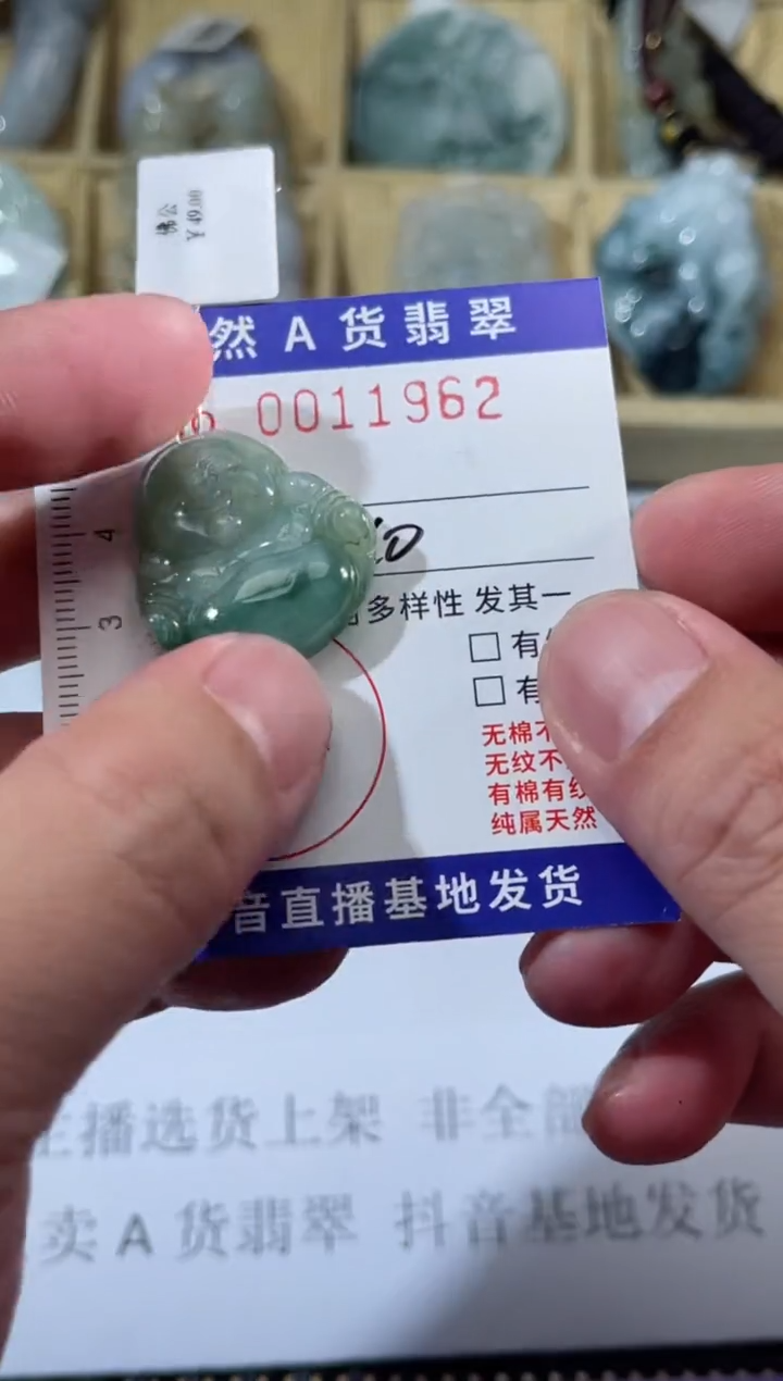 【闪购商品】翡翠颈饰未镶嵌天然缅甸A货翡翠（多样性发货）绿佛公