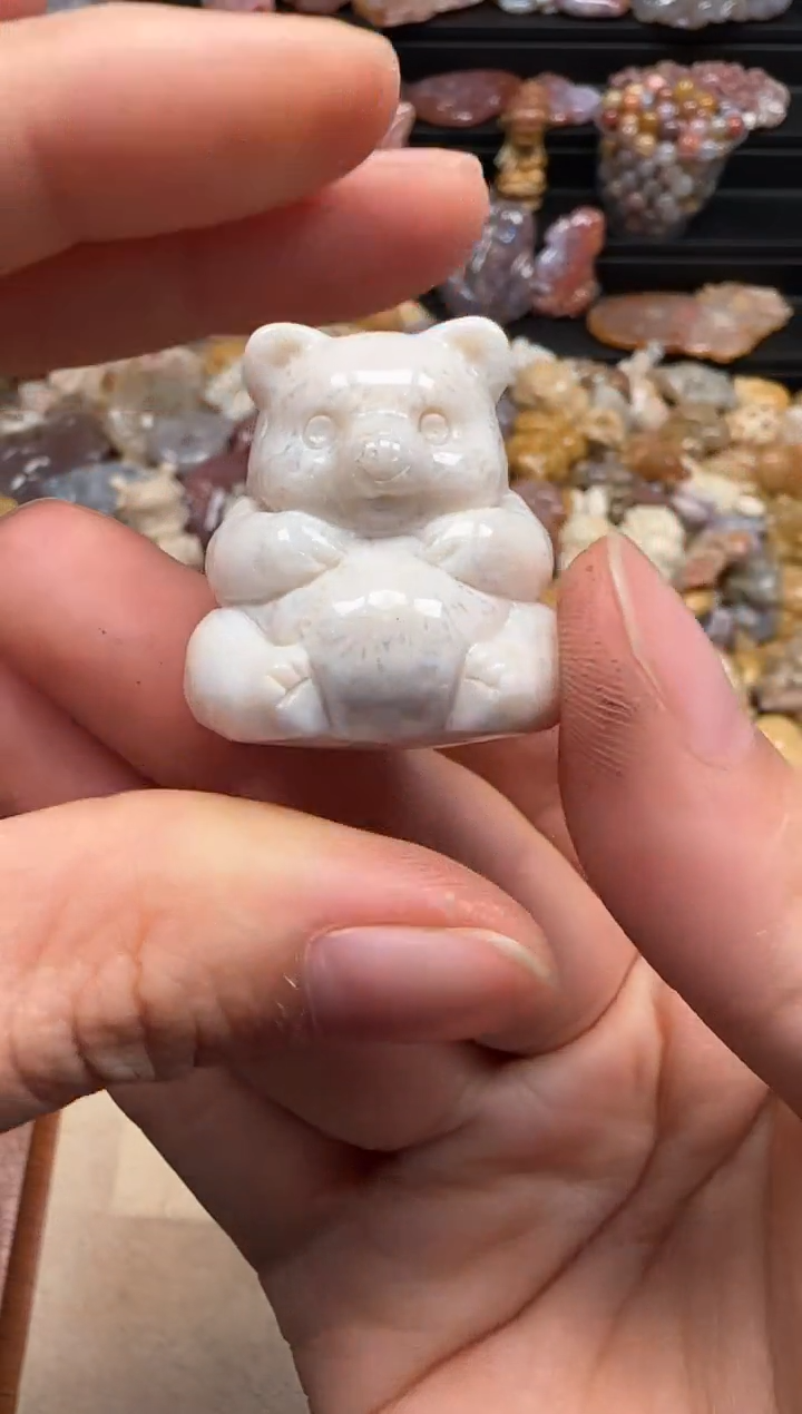 【闪购商品】硅化珊瑚（珊瑚玉）颈饰未镶嵌309