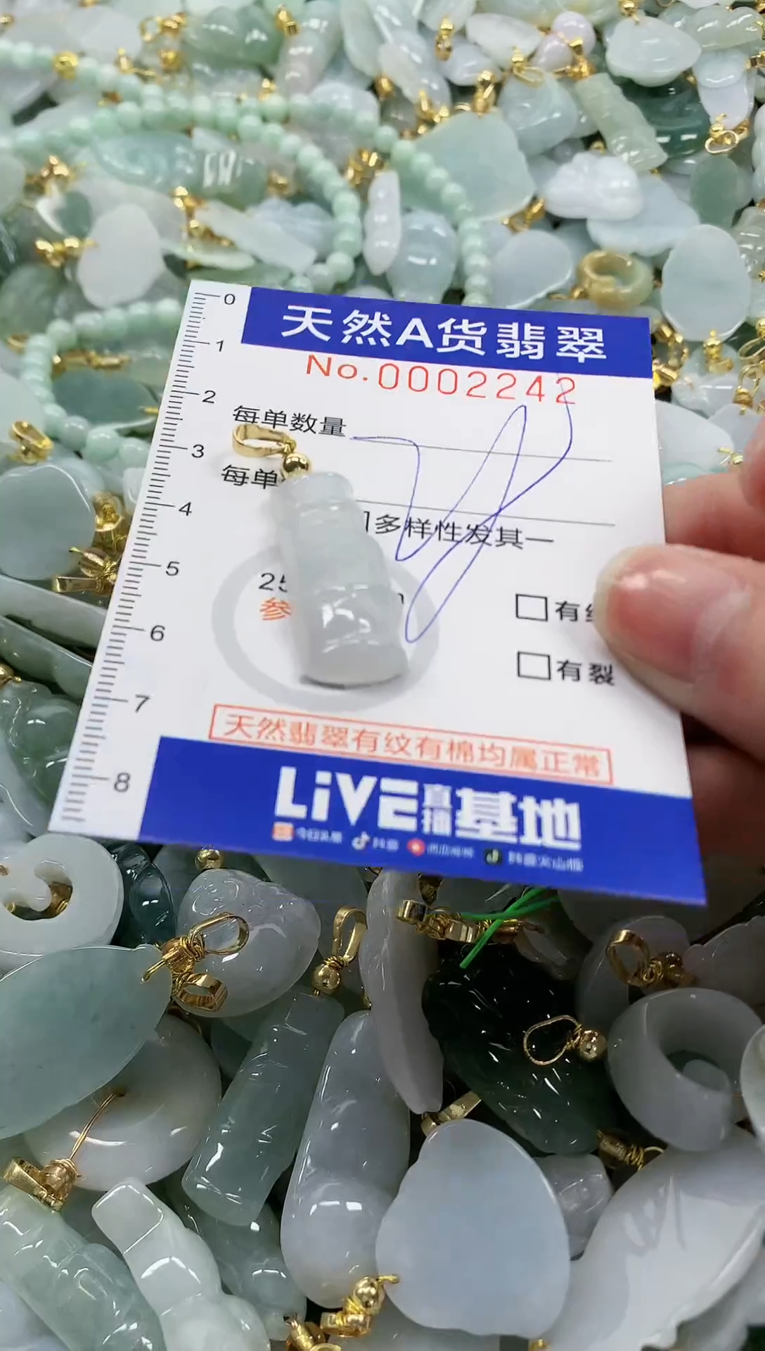 颈饰未镶嵌翡翠纯天然a货翡翠