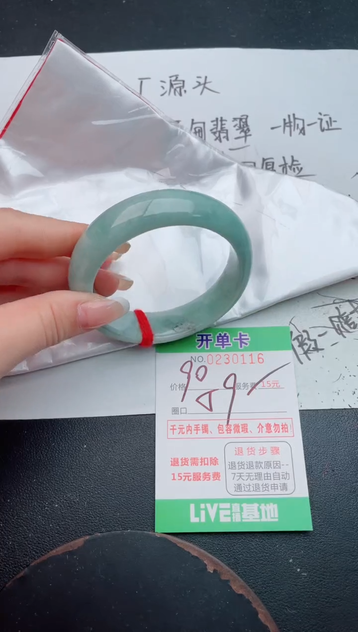 未镶嵌手镯翡翠16