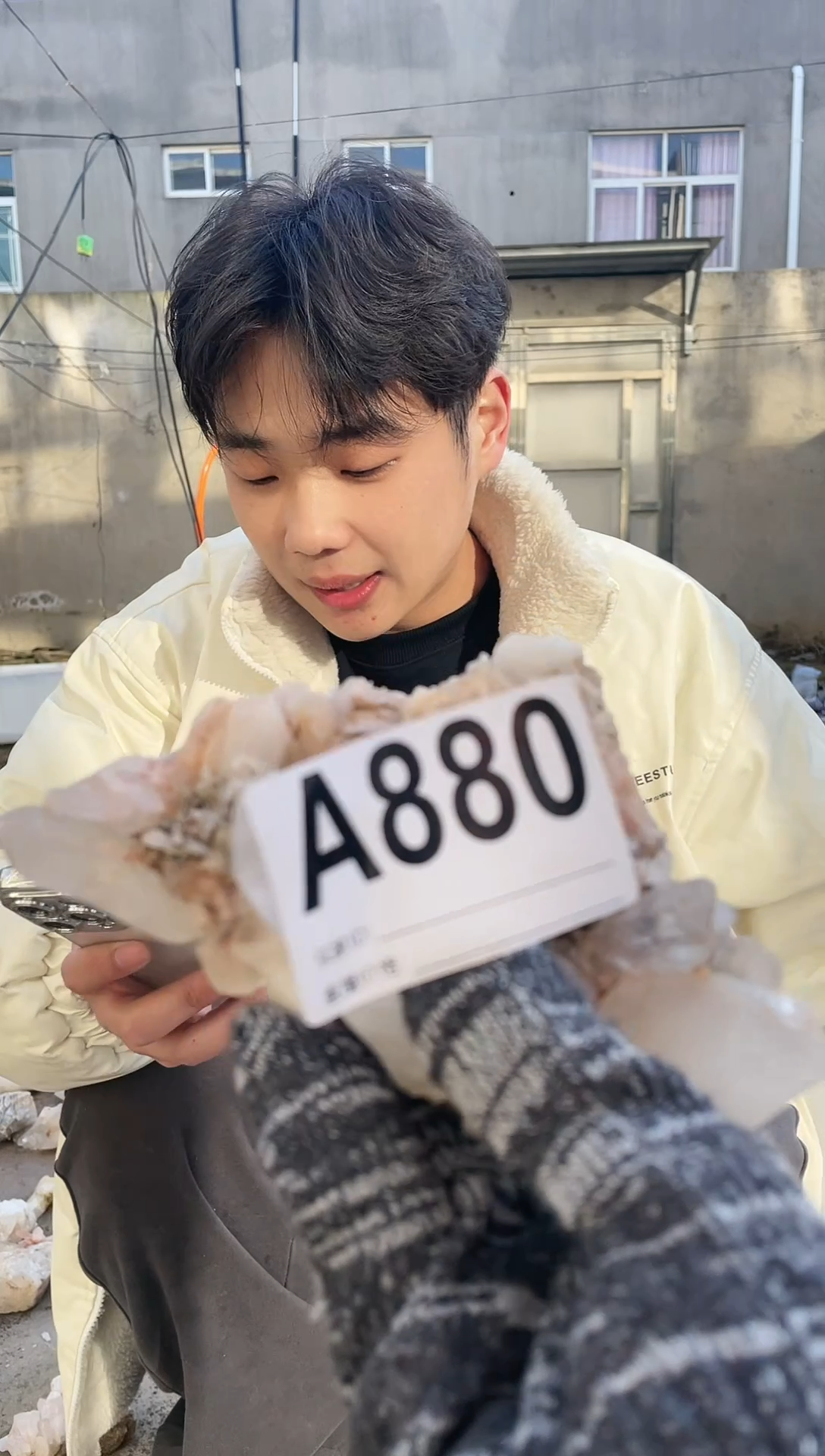 【闪购商品】水晶摆件未镶嵌水晶   880