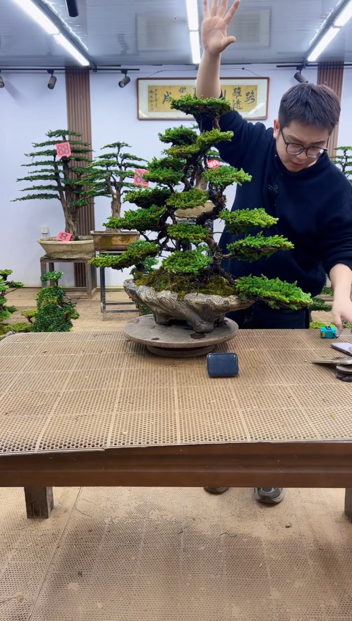 以实际为准0000000