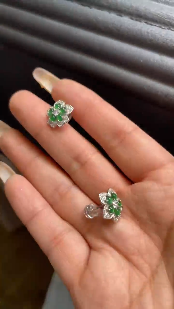 【闪购商品】翡翠颈饰未镶嵌      *72