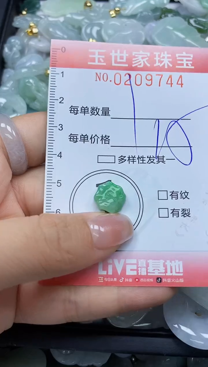 【闪购商品】翡翠颈饰未镶嵌闪购0209744