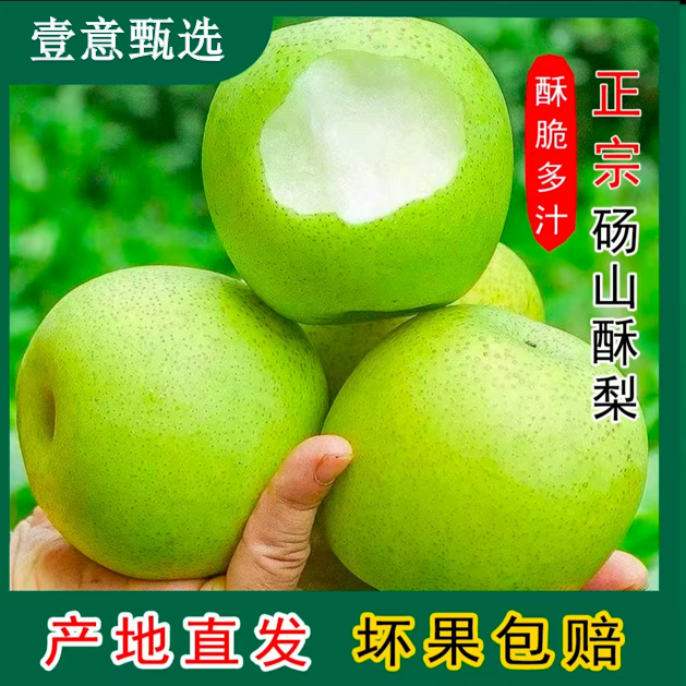 砀山青梨皇冠蜜梨【当天新鲜采摘】新鲜梨子砀山梨包邮当季头茬