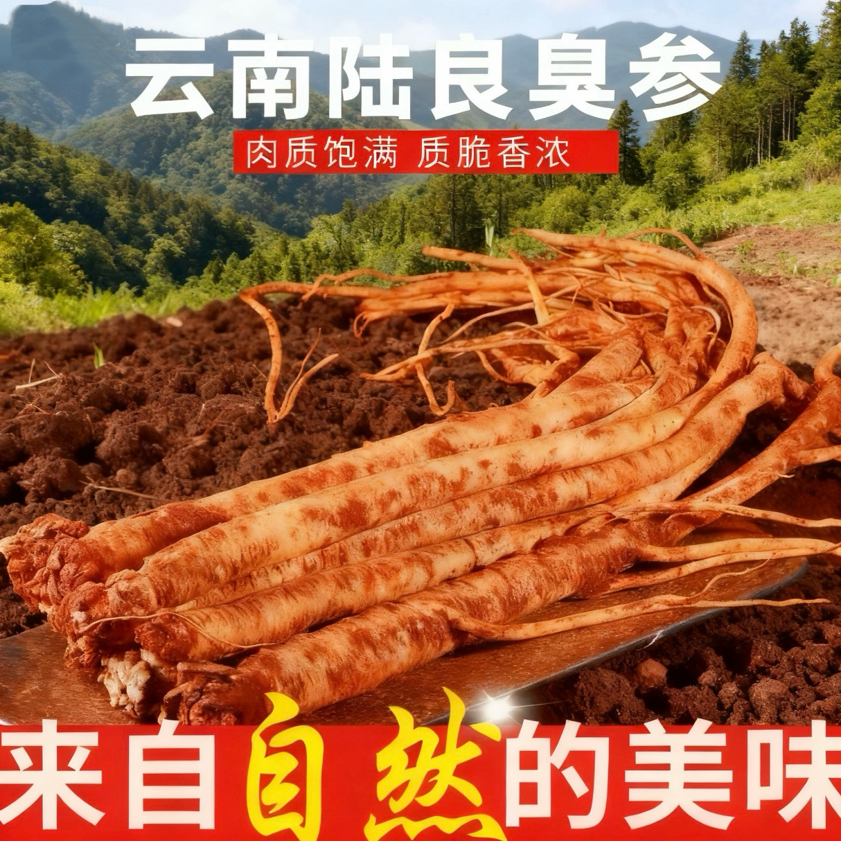 云南高山新鲜老品种臭参特产蔬菜新鲜发货精品