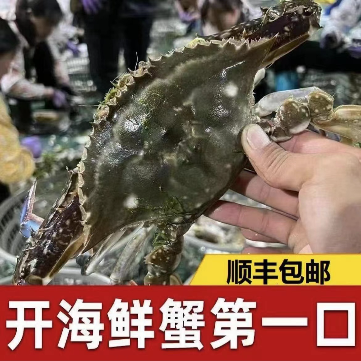 全母梭子蟹液氮锁鲜每只4 - 6两大个头 到手3斤【冻蟹】