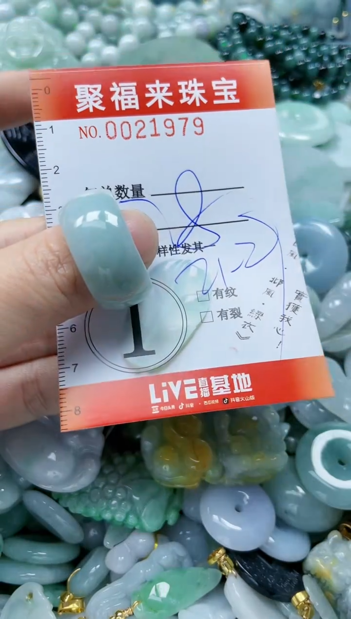 【闪购商品】翡翠颈饰未镶嵌闪购0021979