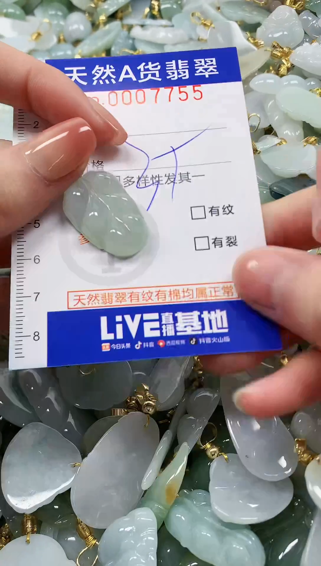 颈饰未镶嵌翡翠纯天然a货翡翠