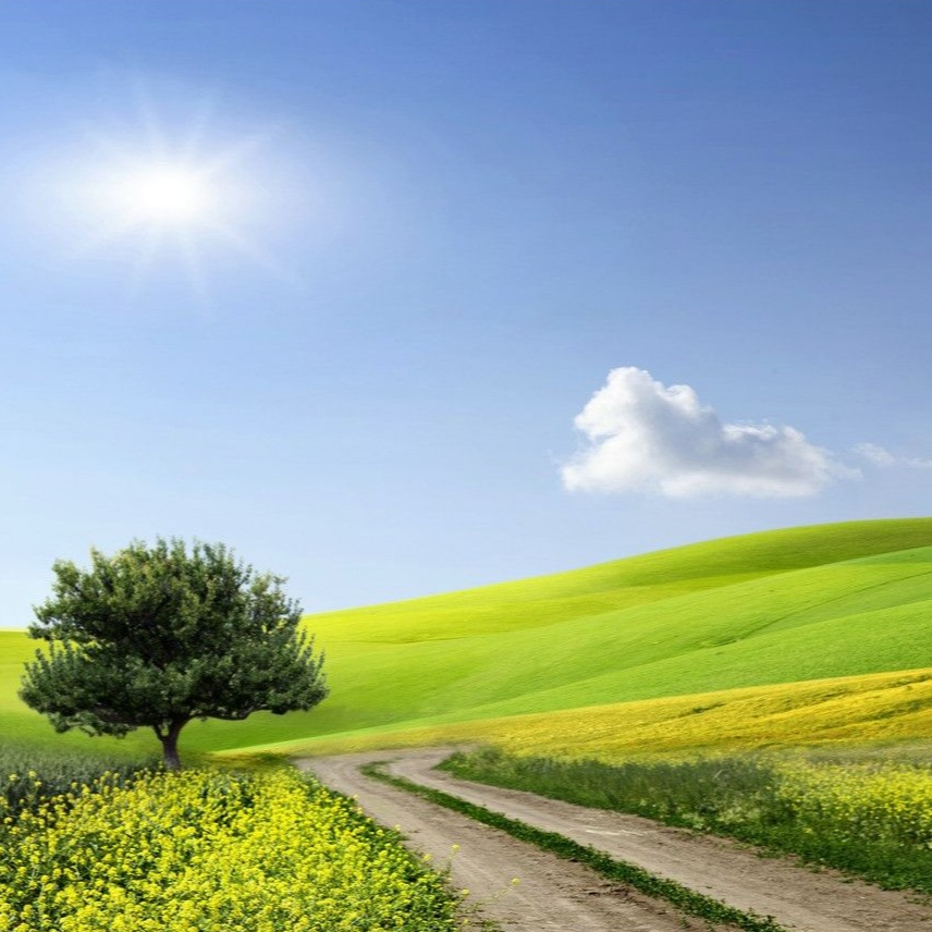 娟 新中式风 153255 素绉缎香云纱绣花外套 【新款】