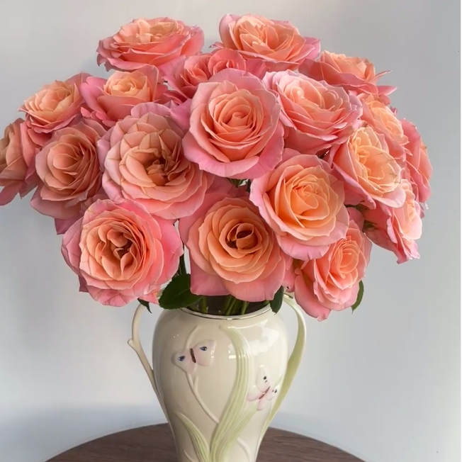 朱小姐玫瑰 17到20支（5枝不赔付）+营养剂