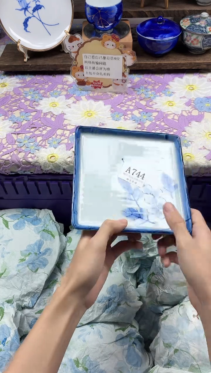 瓷片F***.                A744