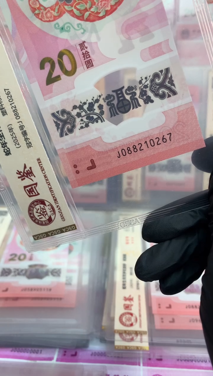 【闪购商品】塑料 蛇钞 真钞【单张】0267