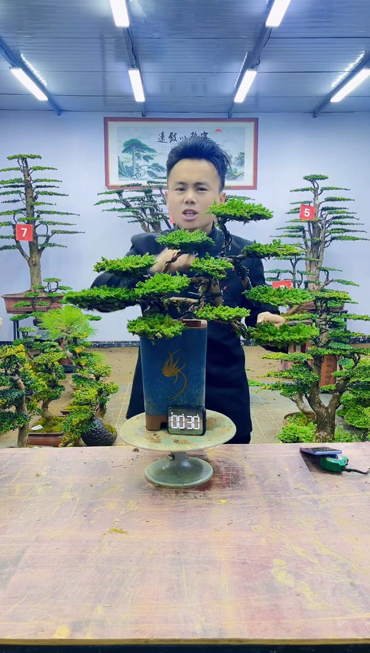 【闪购商品】一物一拍，所见即所得