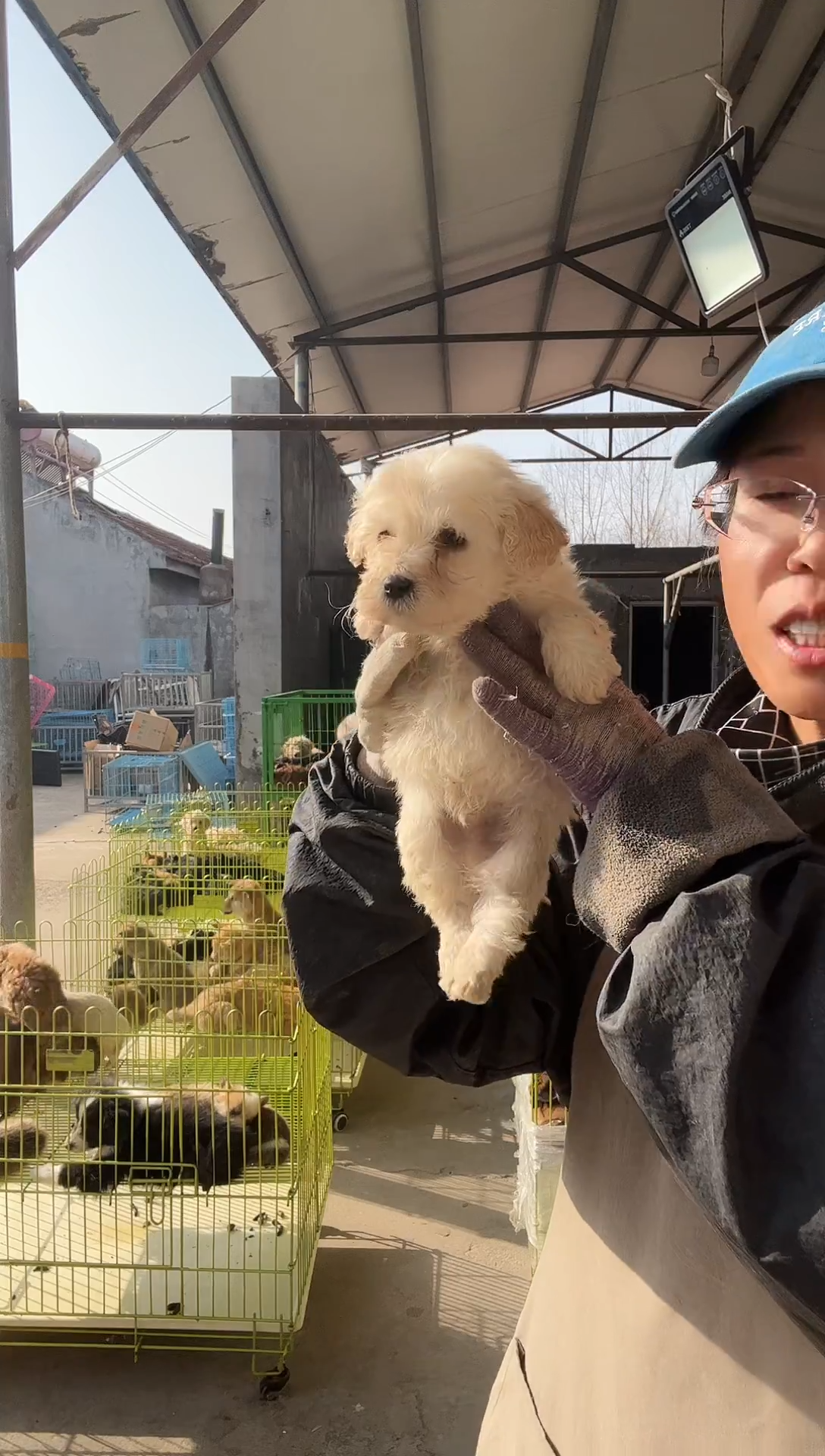 西高熊你的卡你的卡的内