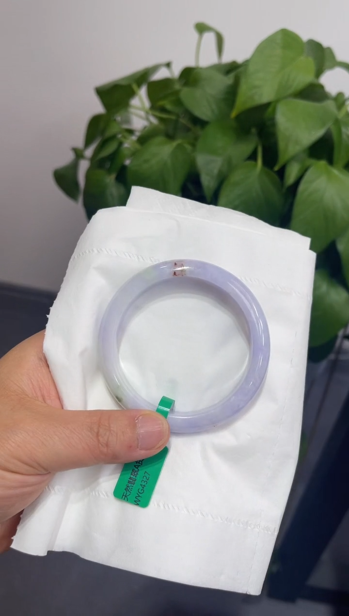 翡翠未镶嵌手镯00009029